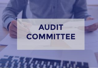 audit commitee