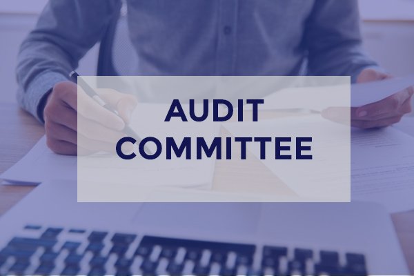 audit commitee
