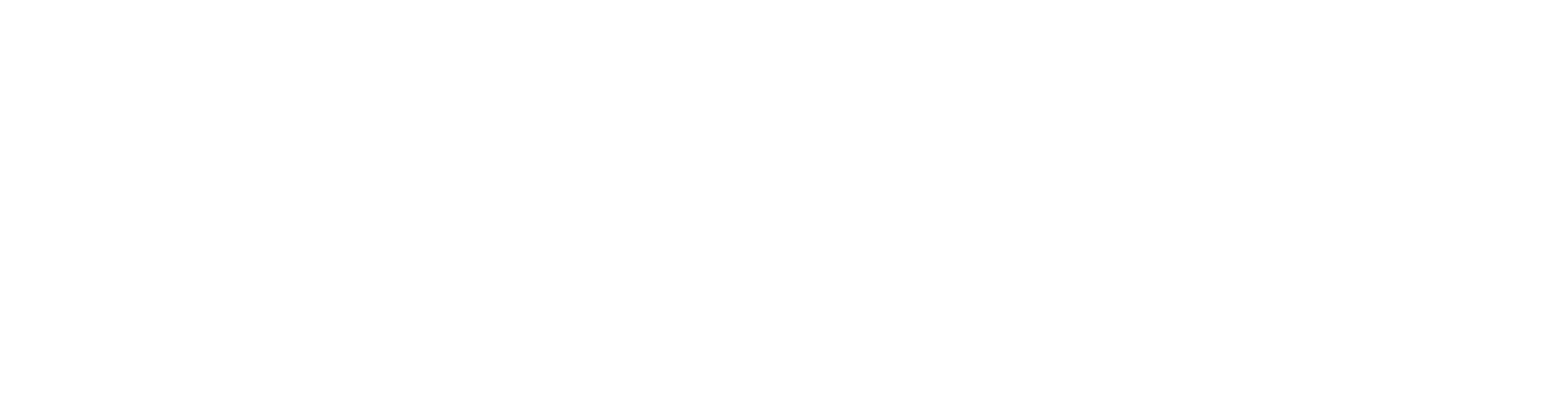 Banner Logo